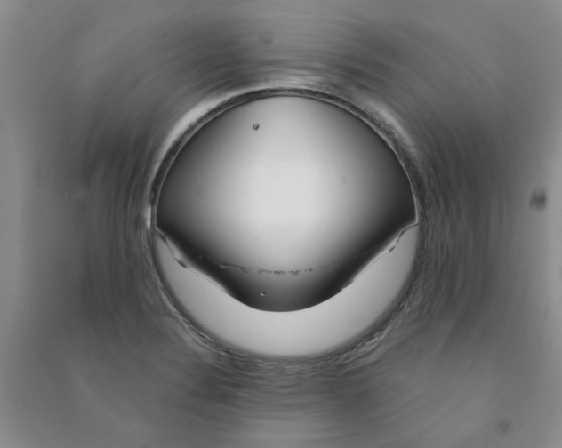 X0000090901324200708201709