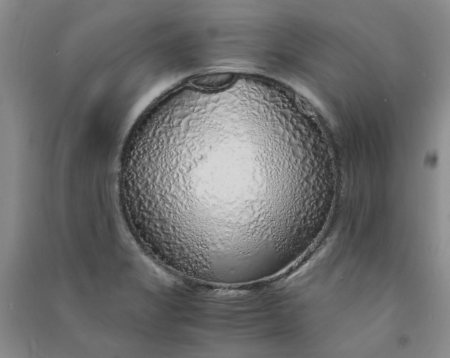 X0000090901325200708201709