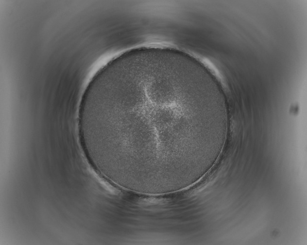 X0000090901327200708201709