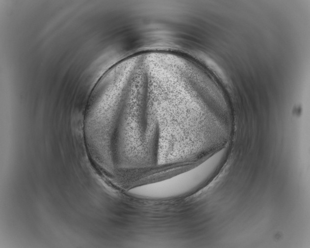 X0000090901329200708201709