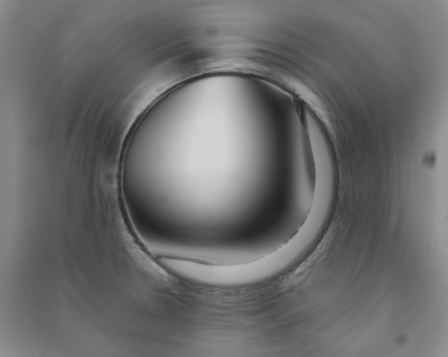 X0000090901330200708201709