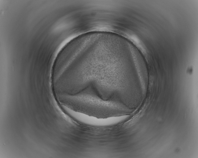 X0000090901331200708201709