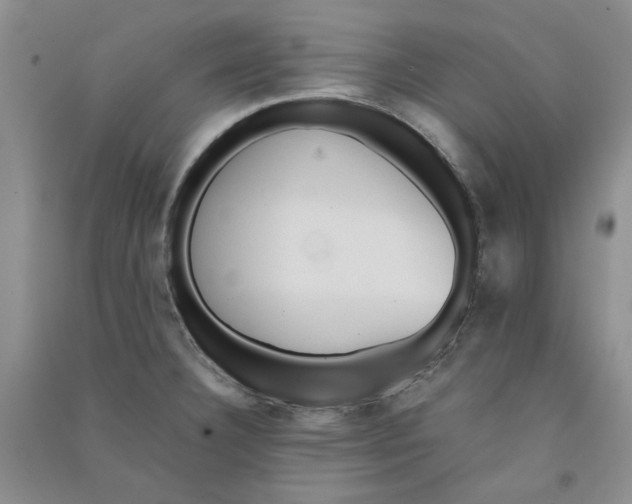 X0000090901332200708201709