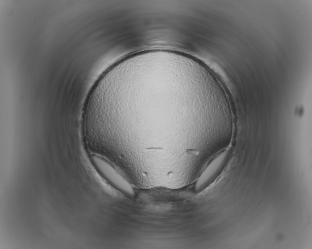 X0000090901333200708201709