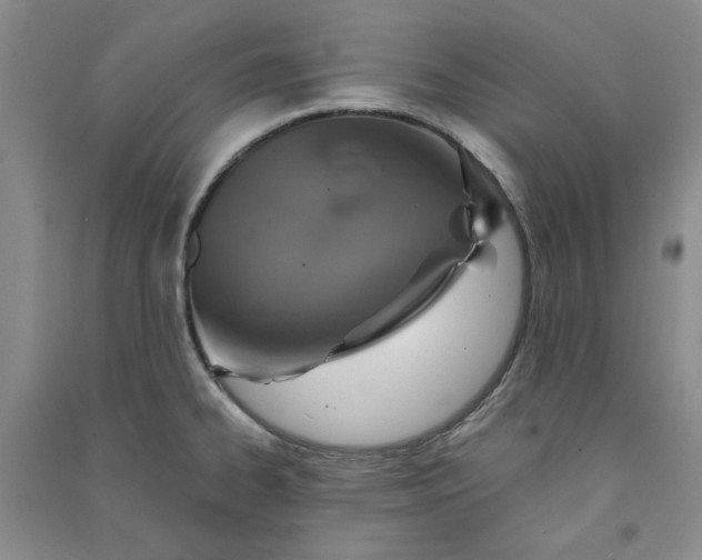 X0000090901334200708201709