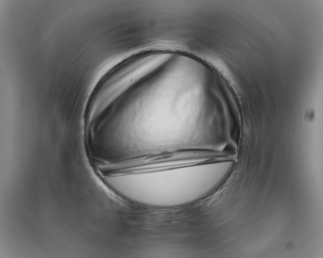 X0000090901335200708201709