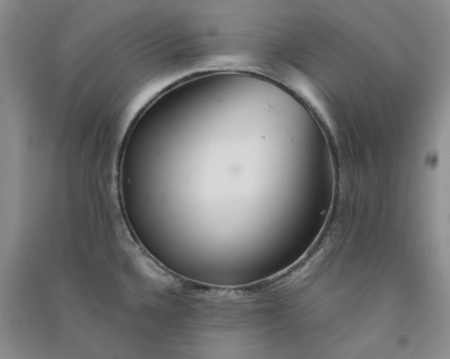 X0000090901336200708201709