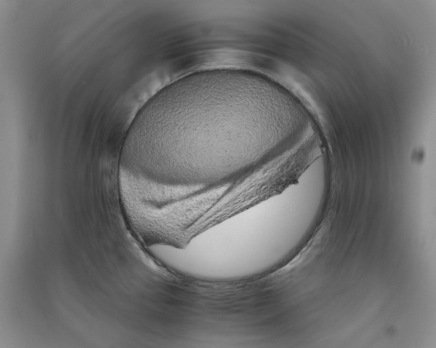 X0000090901337200708201709