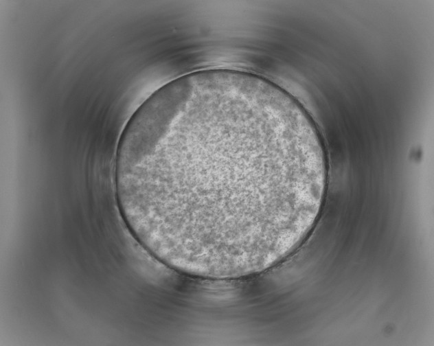 X0000090901338200708201709