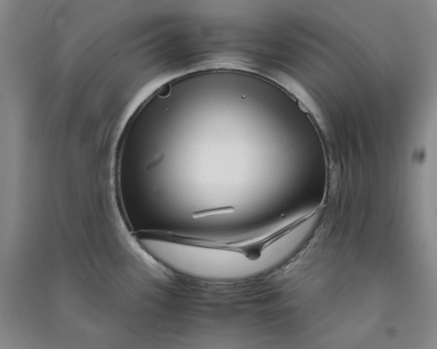 X0000090901339200708201709