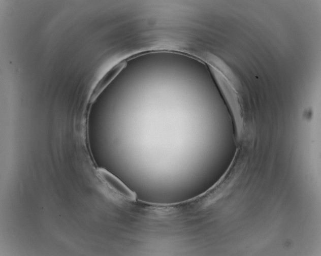 X0000090901340200708201709