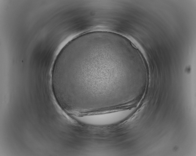 X0000090901341200708201709