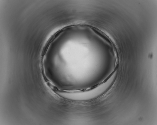 X0000090901342200708201709