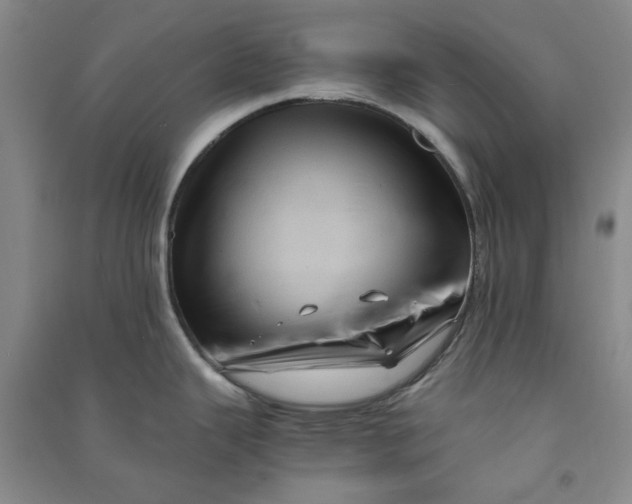 X0000090901343200708201709