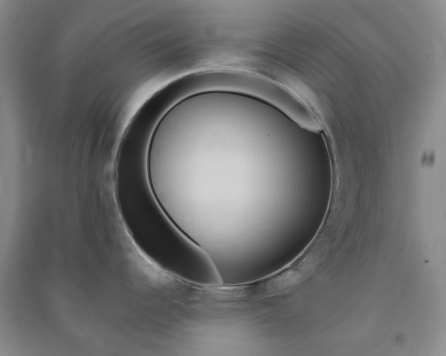 X0000090901344200708201709