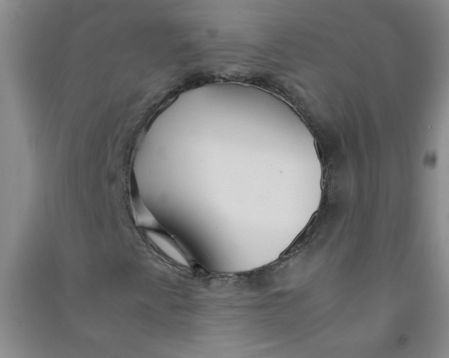 X0000090901345200708201709