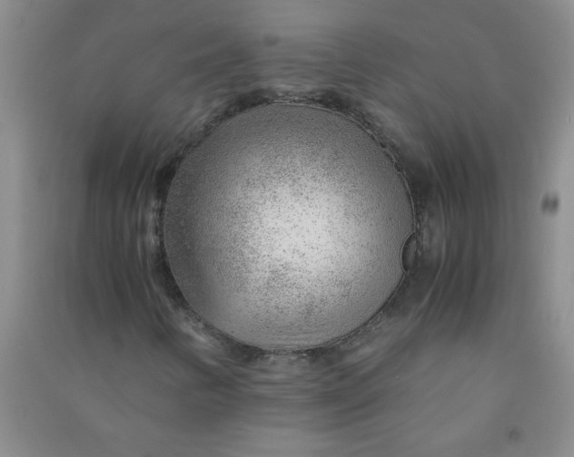 X0000090901346200708201709