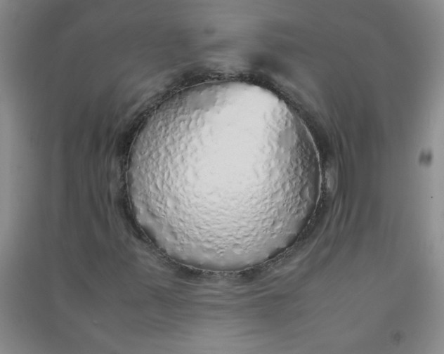 X0000090901347200708201709