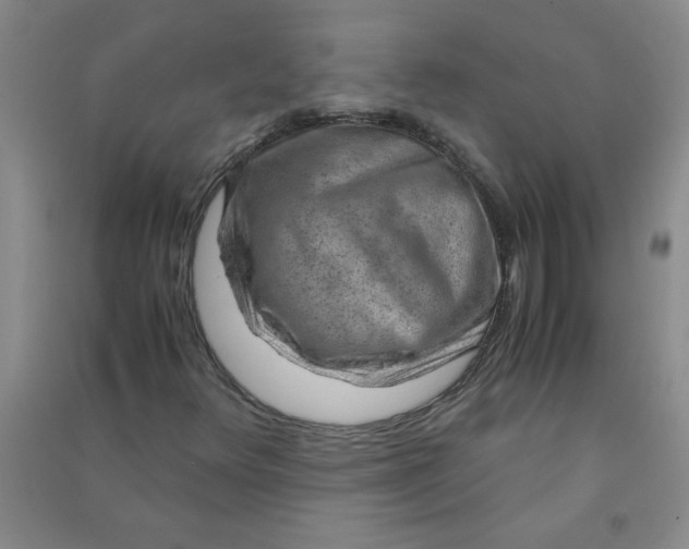 X0000090901348200708201709