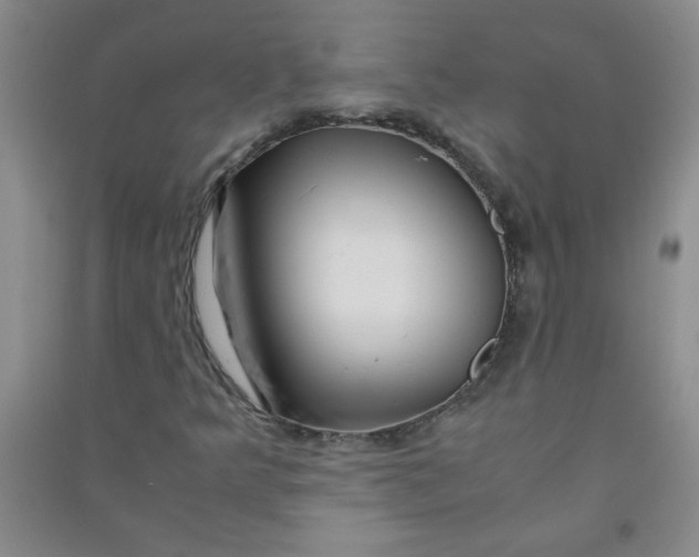 X0000090901349200708201709