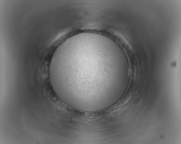 X0000090901350200708201709