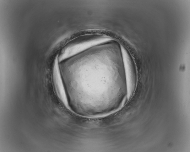 X0000090901351200708201709