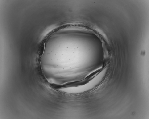 X0000090901352200708201709