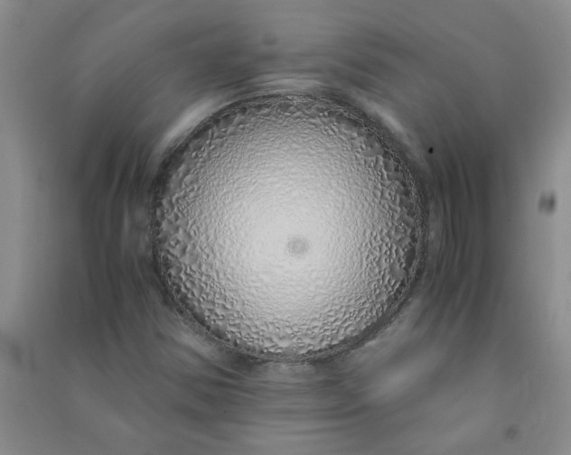 X0000090901354200708201708