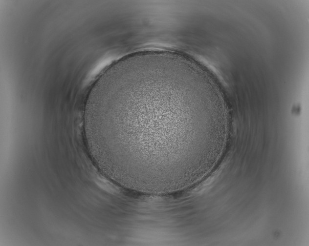 X0000090901355200708201708