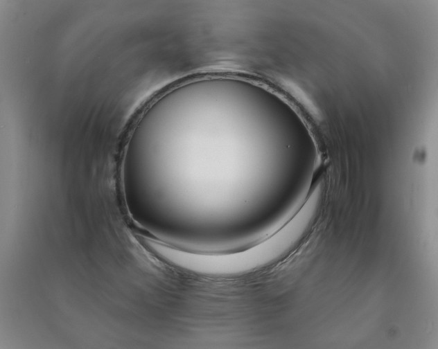 X0000090901356200708201708