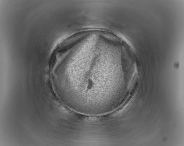 X0000090901357200708201708