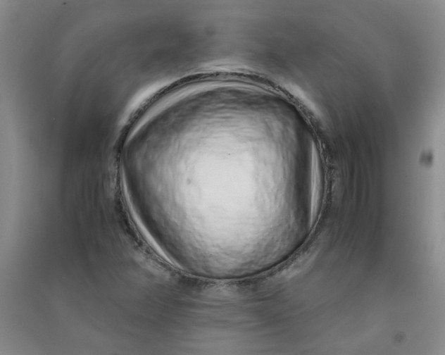 X0000090901358200708201708