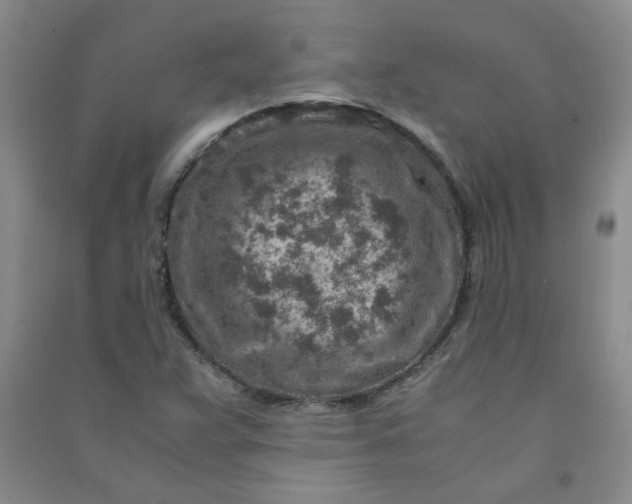 X0000090901359200708201708