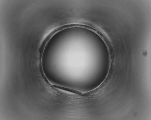 X0000090901360200708201708