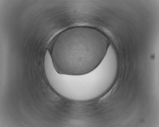 X0000090901361200708201708