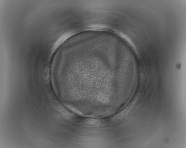 X0000090901362200708201708