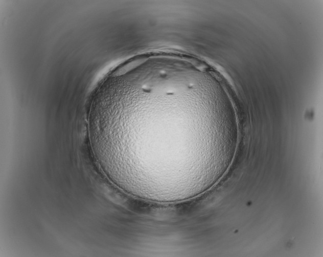 X0000090901363200708201708