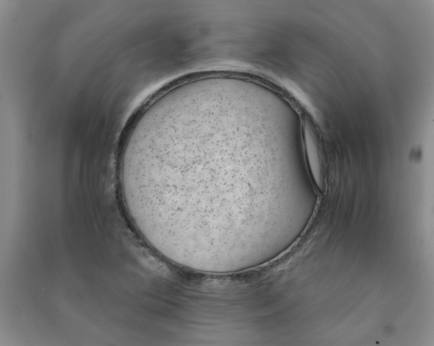 X0000090901364200708201708