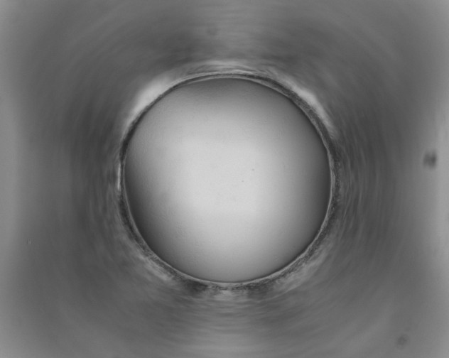 X0000090901365200708201708