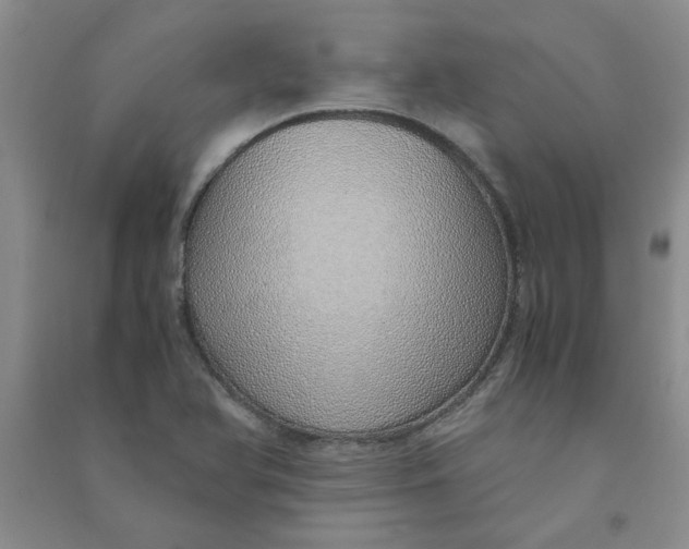 X0000090901366200708201708