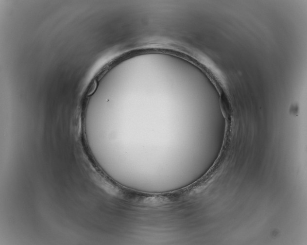 X0000090901368200708201708