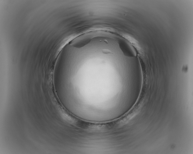 X0000090901369200708201708