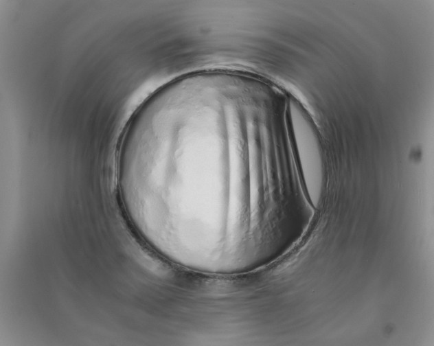 X0000090901371200708201708