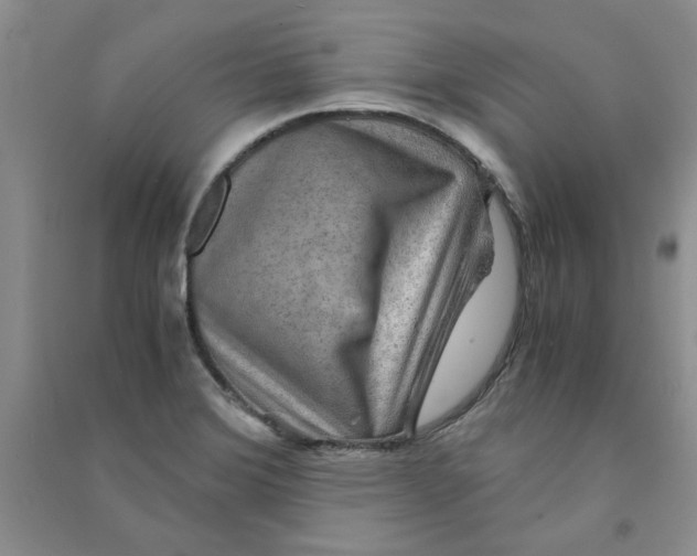 X0000090901372200708201708