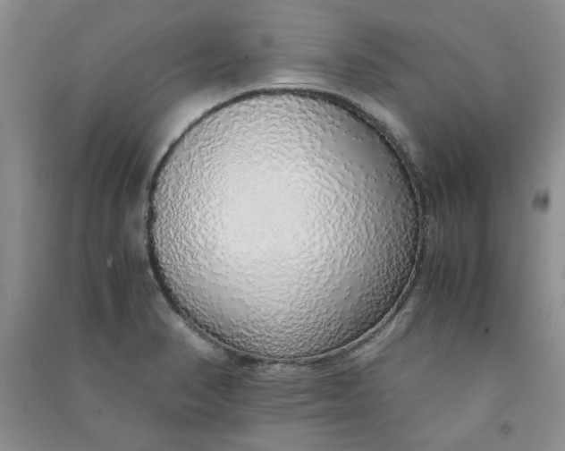 X0000090901374200708201708