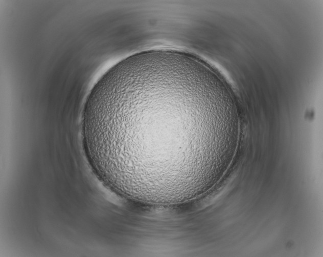 X0000090901375200708201708