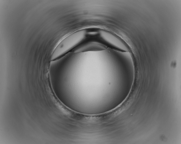 X0000090901377200708201708