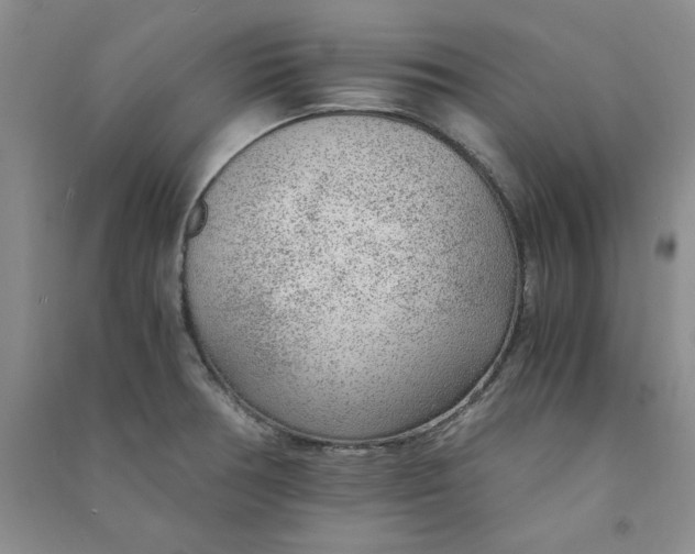 X0000090901378200708201708