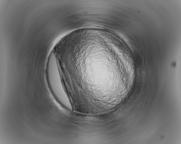 X0000090901379200708201708