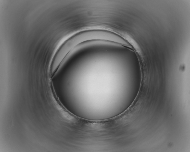 X0000090901380200708201708